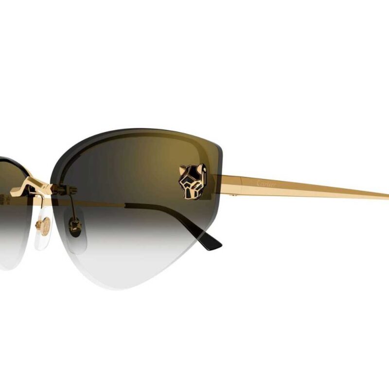 Cartier CT 0431S 001