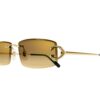 Cartier CT 0465S 004