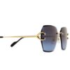 Cartier CT 0466S 002