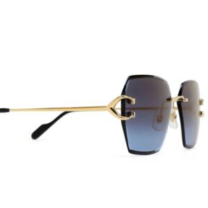 Cartier CT 0466S 002