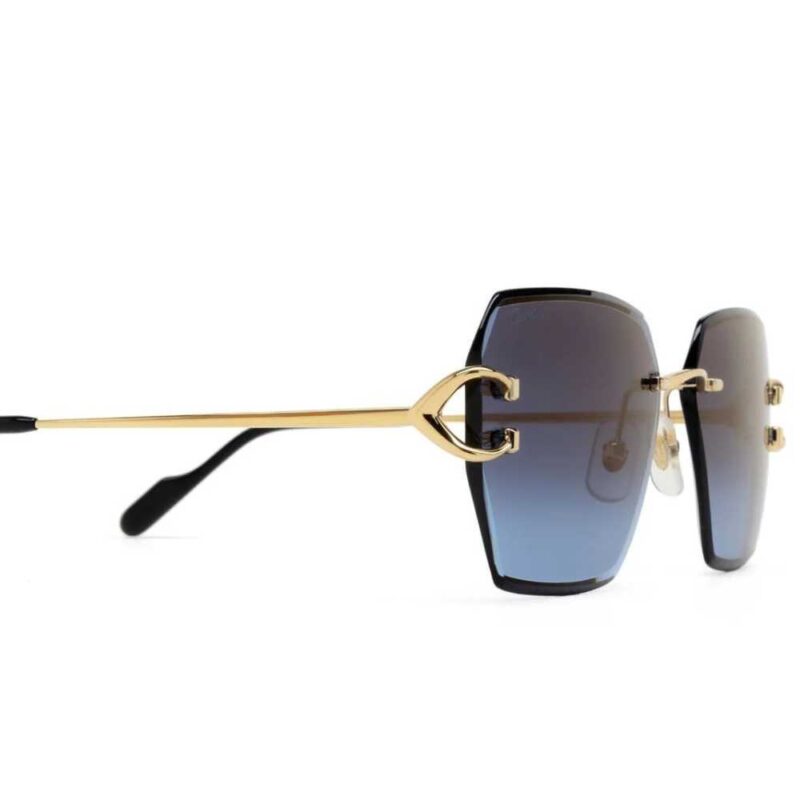 Cartier CT 0466S 002