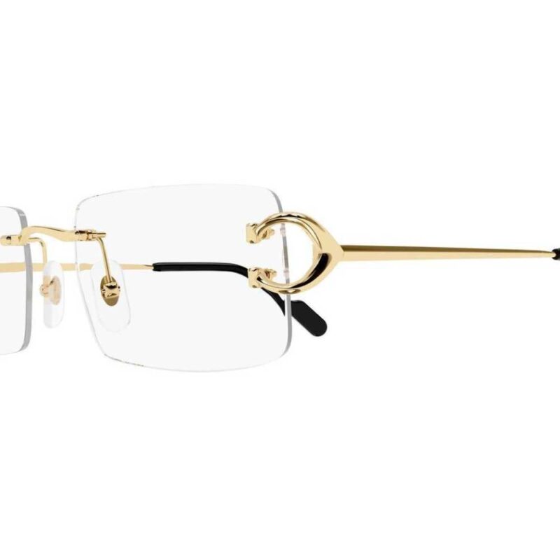 Cartier CT 0488O 001