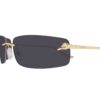 Cartier CT 0503S 001