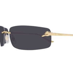 Cartier CT 0503S 001