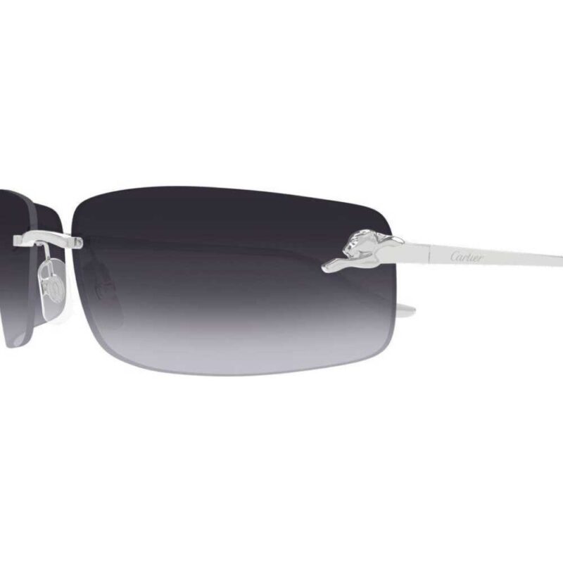 Cartier CT 0503S 002