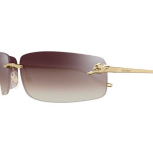 Cartier CT 0503S 003