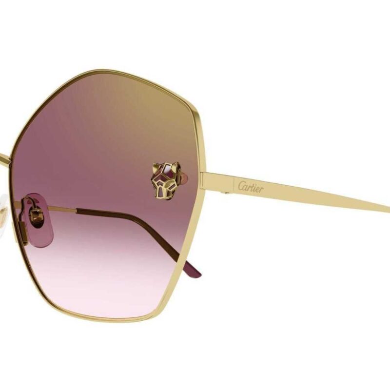 Cartier CT 0356S 003