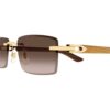 CARTIER CT 0582S 003