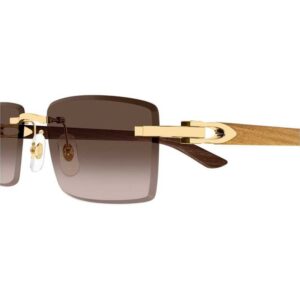 CARTIER CT 0582S 003