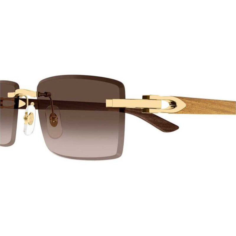 CARTIER CT 0582S 003