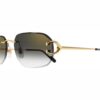 Cartier CT-0468s 001