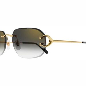 Cartier CT-0468s 001