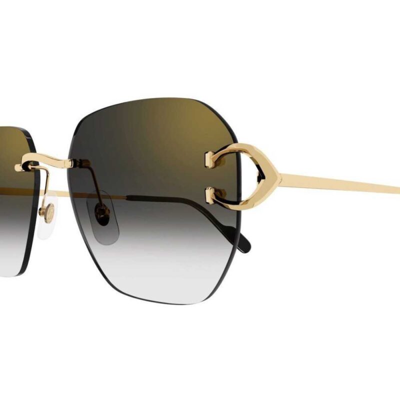 Cartier CT 0394S 001