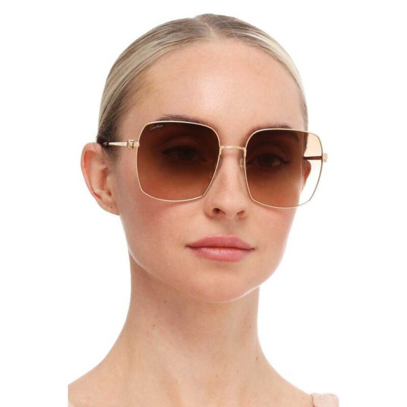 Cartier CT-0401s 002