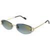 1 Cartier CT 0467S 003
