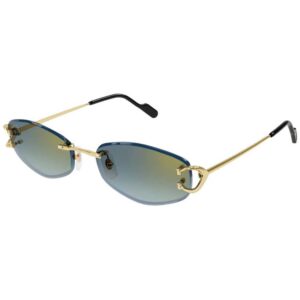 1 Cartier CT 0467S 003