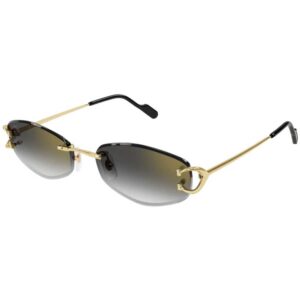 1 Cartier CT 0467S 001