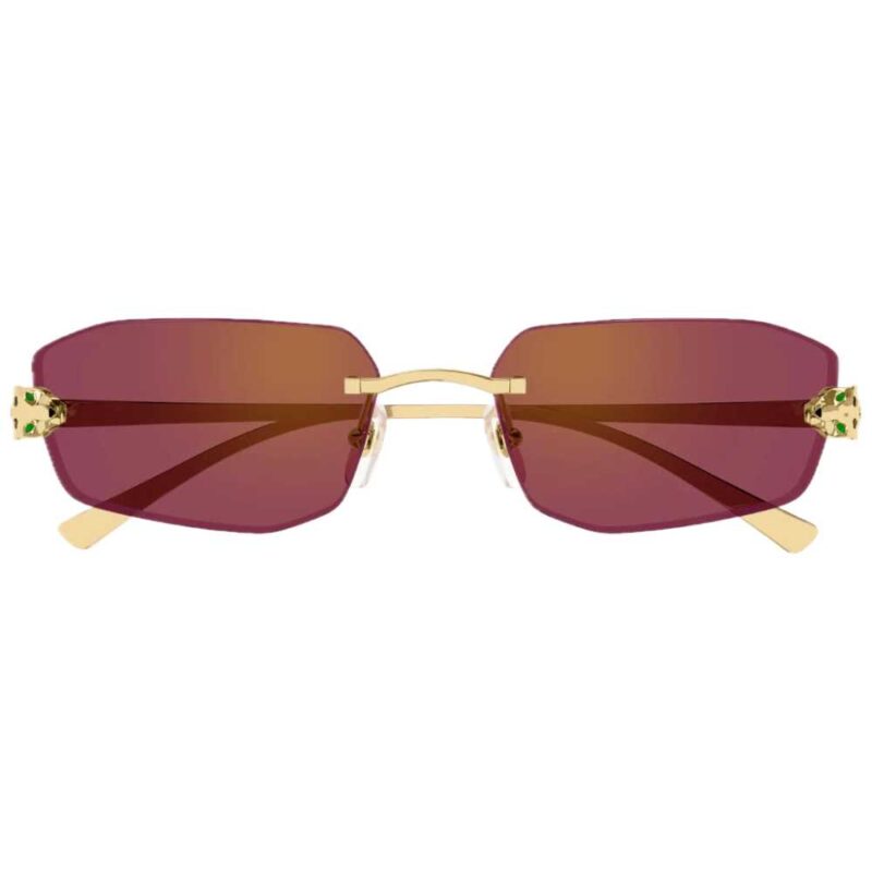 2 CARTIER CT 0474S 002