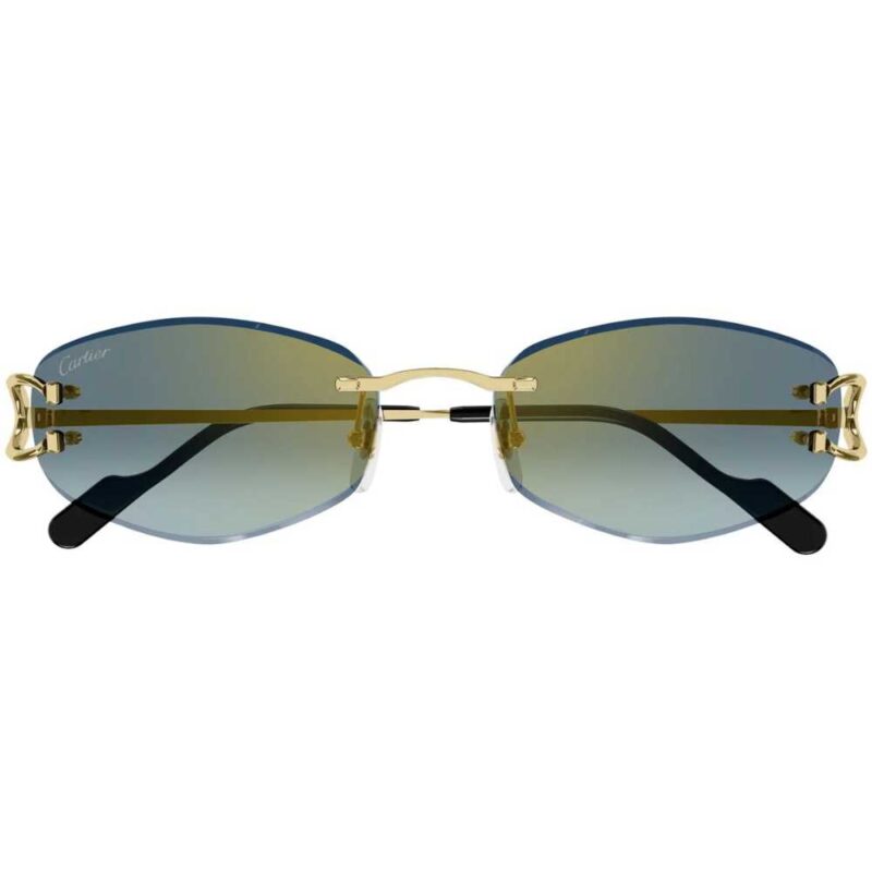 2 CARTIER CT 0467S 003