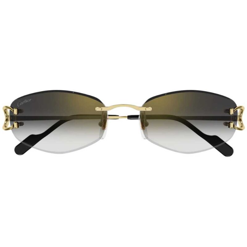 2 CARTIER CT 0467S 001
