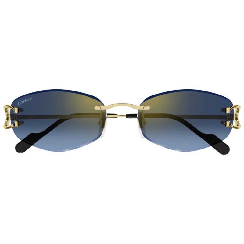 2 CARTIER CT 0467S 002