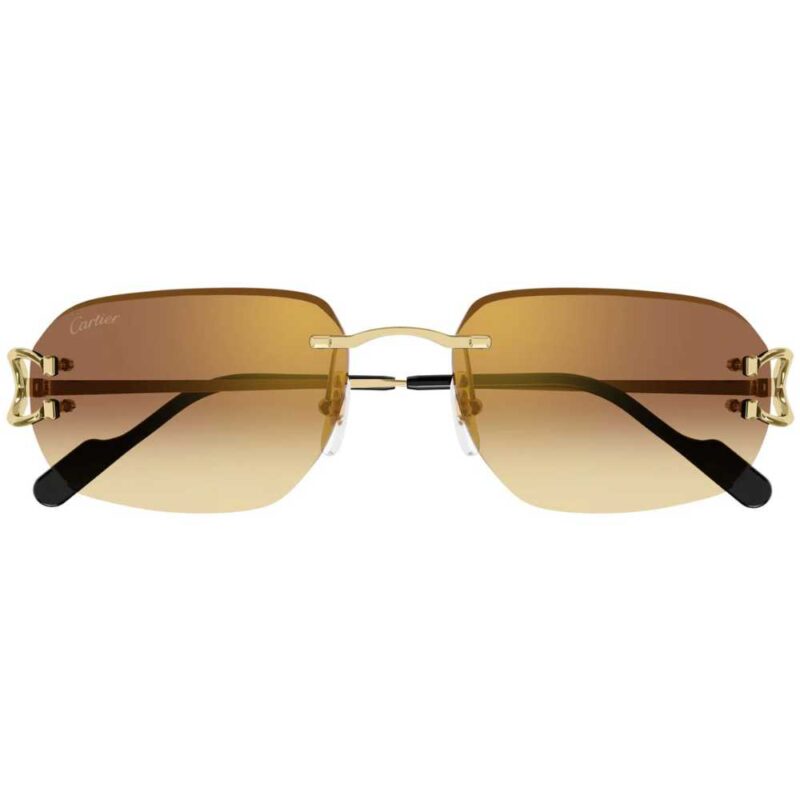 2 CARTIER CT 0468S 004