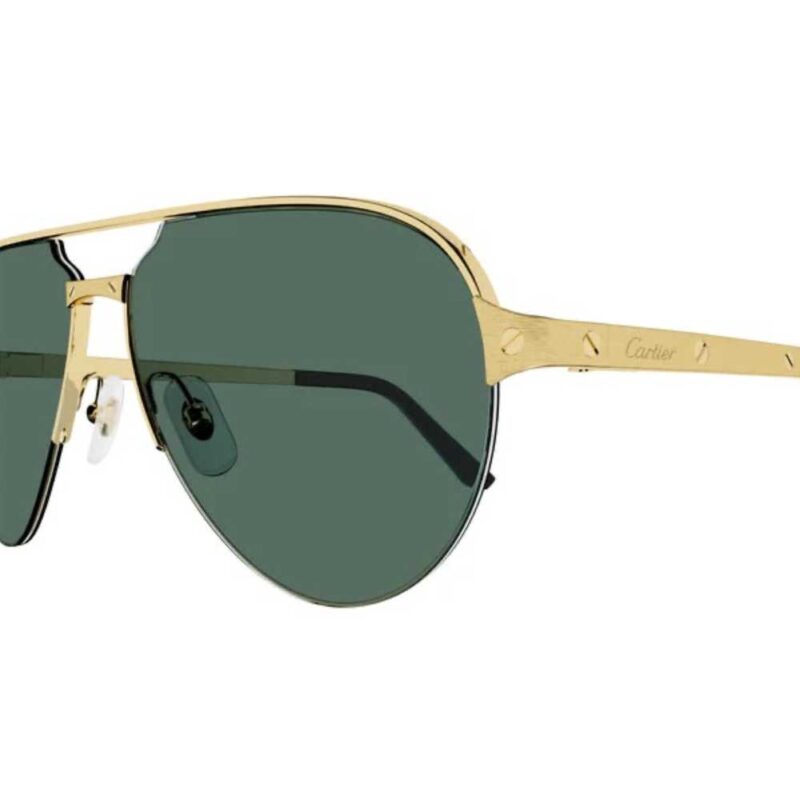 3 CARTIER CT 0386S 002