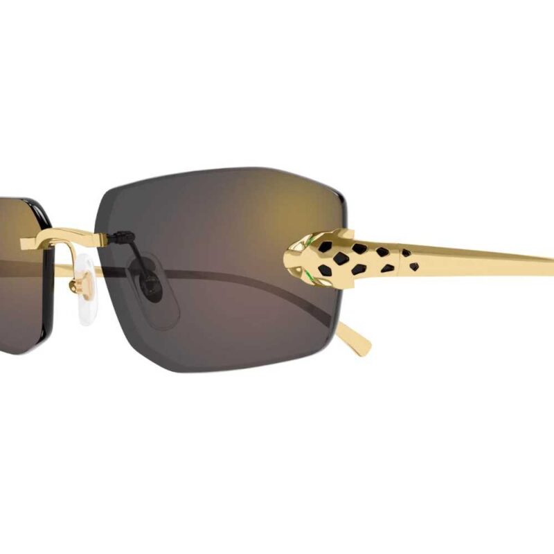 CARTIER CT 0474S 001