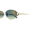 3 CARTIER CT 0467S 003