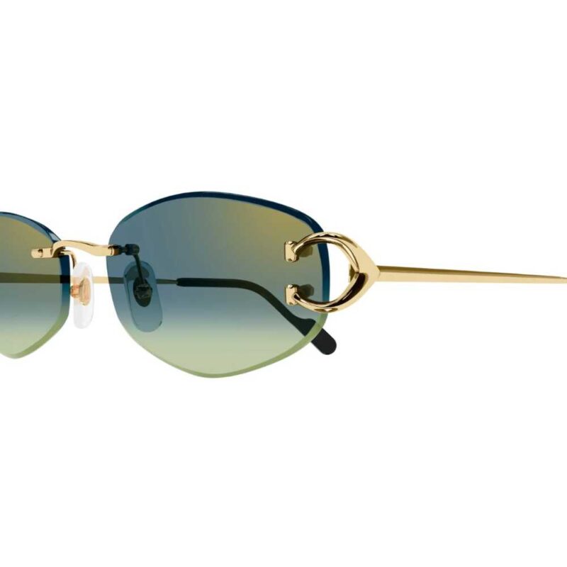 3 CARTIER CT 0467S 003