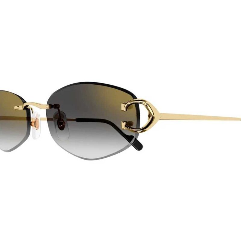 3 CARTIER CT 0467S 001