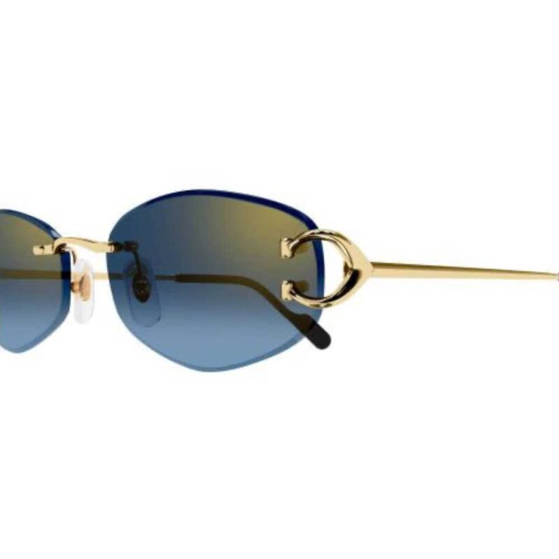 3 CARTIER CT 0467S 002