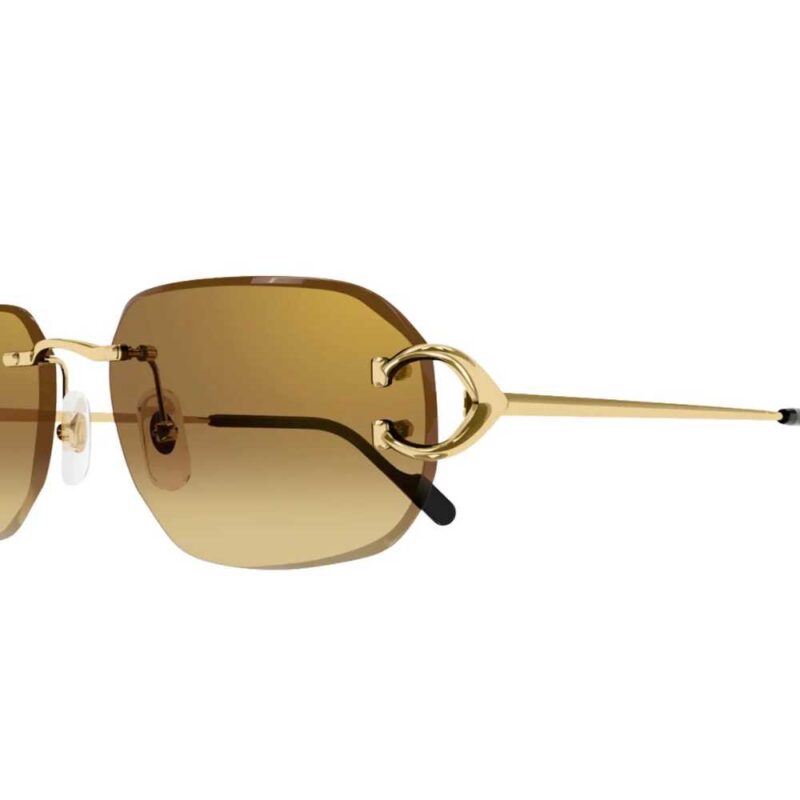 3 CARTIER CT 0468S 004